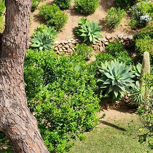 https://a-little-paradise-right-on-the-beach.es-andalucia.com